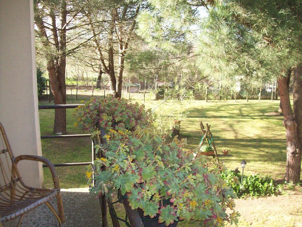 Campo Alle Monache Bucine Quarto foto
