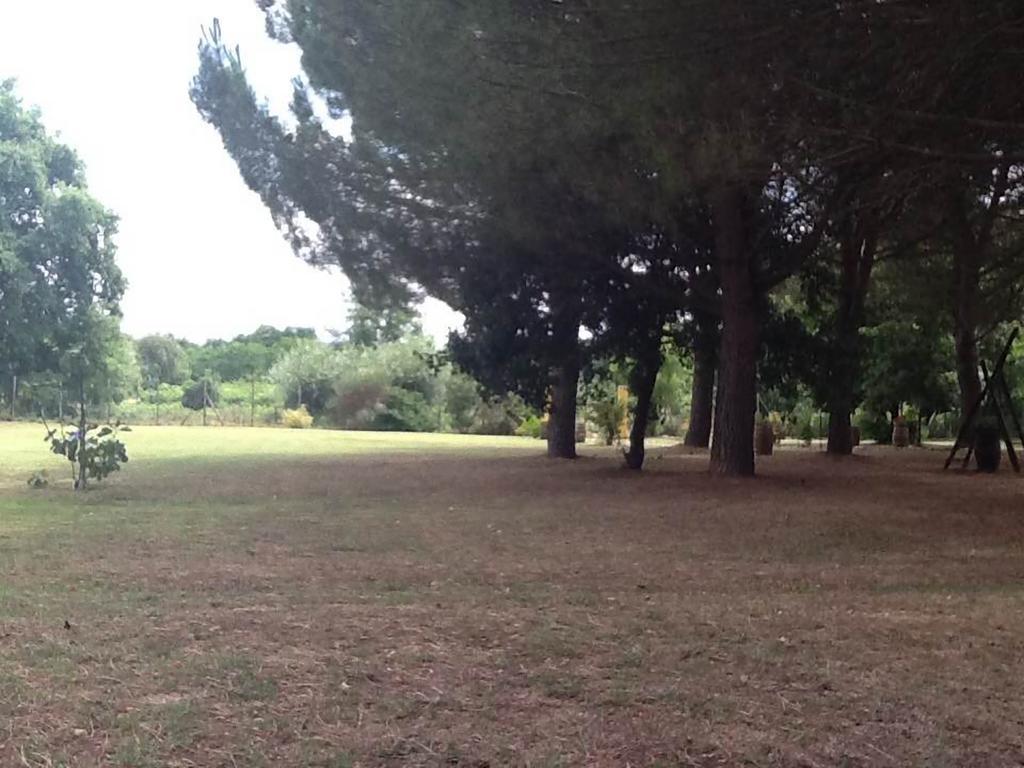 Campo Alle Monache Bucine Exterior foto
