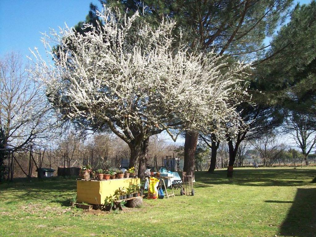 Campo Alle Monache Bucine Exterior foto