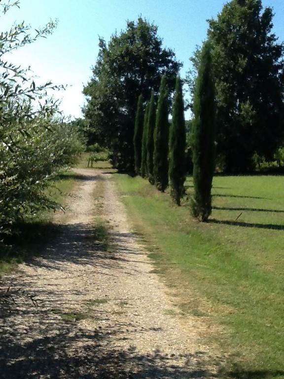 Campo Alle Monache Bucine Exterior foto