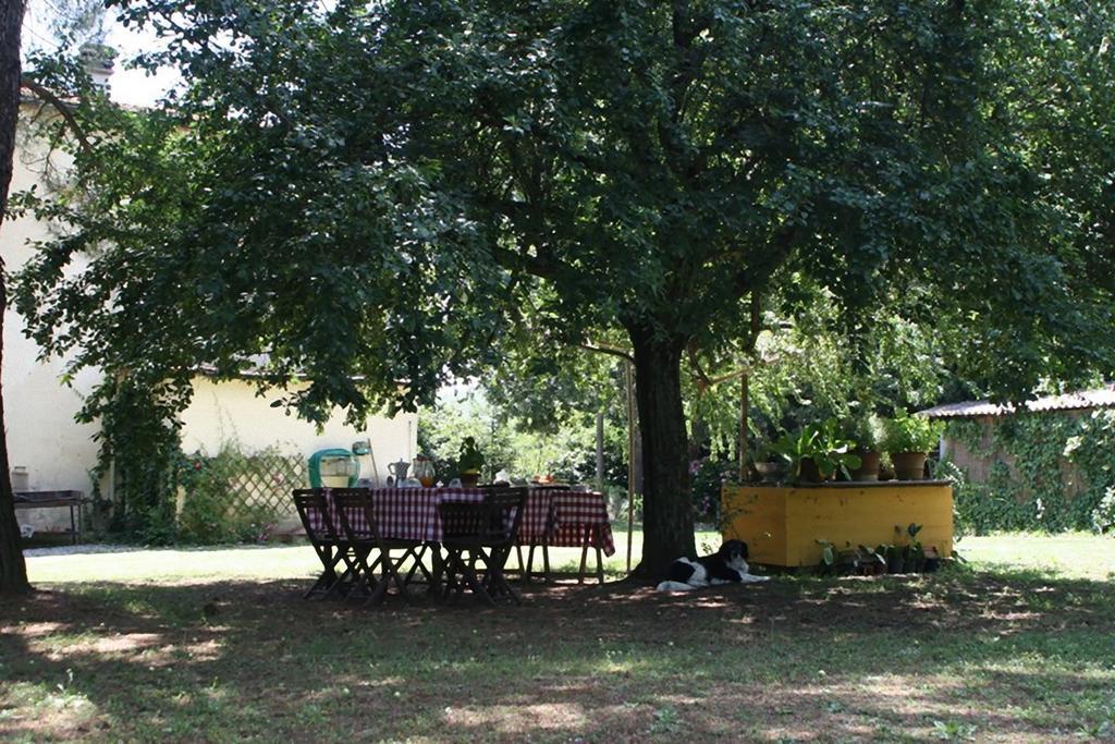 Campo Alle Monache Bucine Quarto foto