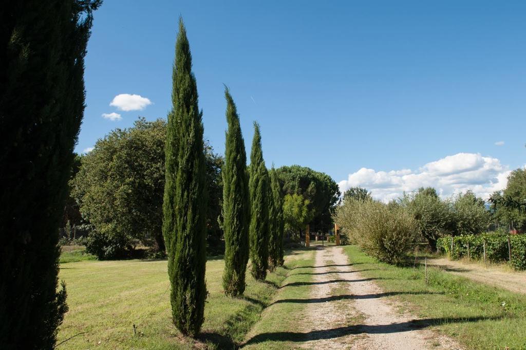 Campo Alle Monache Bucine Exterior foto