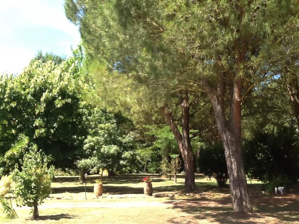 Campo Alle Monache Bucine Exterior foto